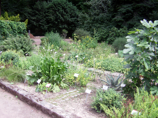 Botanischer Garten Bunter Garten